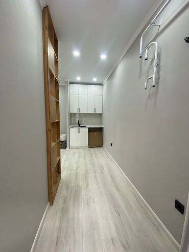 Продажа квартир: 1 комната, 27 м², Элитка, 5 этаж, Евроремонт