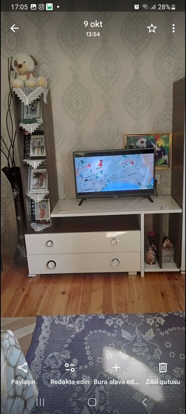 Bitkilər: TV altlığı