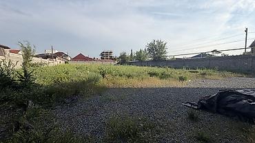 сдать: 25 соток Газ, Электричество, Водопровод — 7