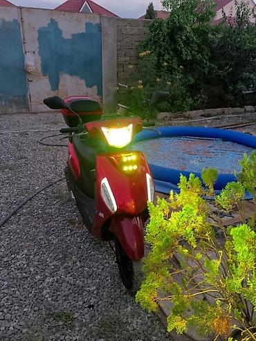 led lampalar: Skuter – şəhər içi rahat və qənaətcil nəqliyyat Xüsusiyyətlər: - — 6