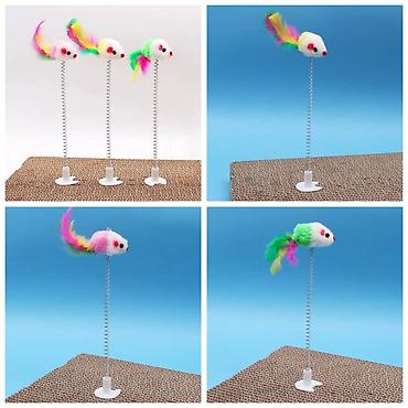 Зоотовары: ПРОДАЮ КОШАЧЬЮ МЯТУ(АНТИСТРЕСС),ПОРАДУЙТЕ СВОГО КОТИКА ТАКОЙ — 12