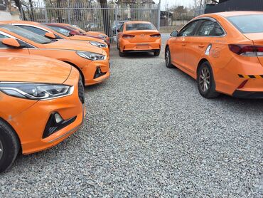 оборудование автомойка: Hyundai Sonata: 2019 г., 2 л, Автомат, Газ, Седан