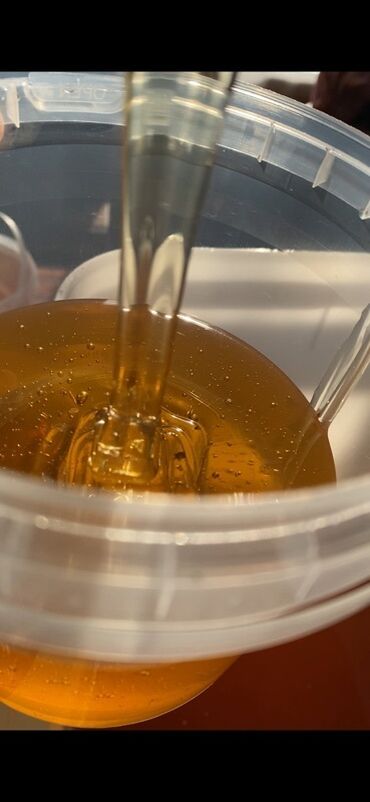 баночки для меда бишкек: Натуральный пчелиный мёд! Состав: 100% мёд пчелиный, горное