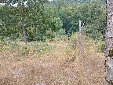 Torpaq sahələrinin satışı: 170 sot, Biznes üçün, Mülkiyyətçi, Kupça (Çıxarış) — 13