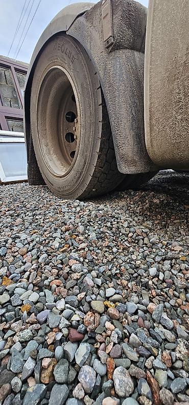 Тягачи: Тягач, DAF, 2019 г., Без прицепа — 7