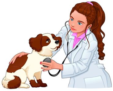 току: Услуги ветеринарного врача Выезд на дом Кастрация Стерилизация