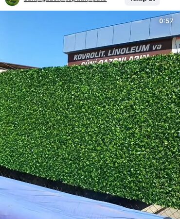 Süni qazon: Məhsul: Döşəmə örtükləri və yaşıllaşdırma materialları - Linoleum — 2