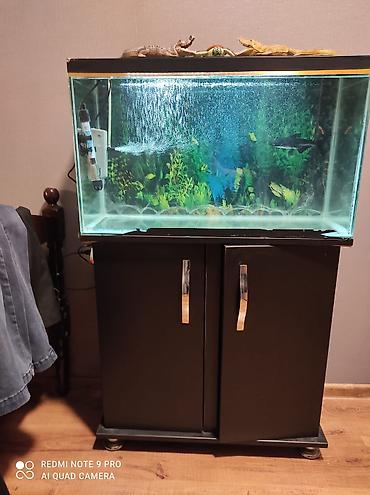 tap az akvarium: Şkafı akseusarları her bir şeyi ile bir yerde verilir ideal akvarium — 1