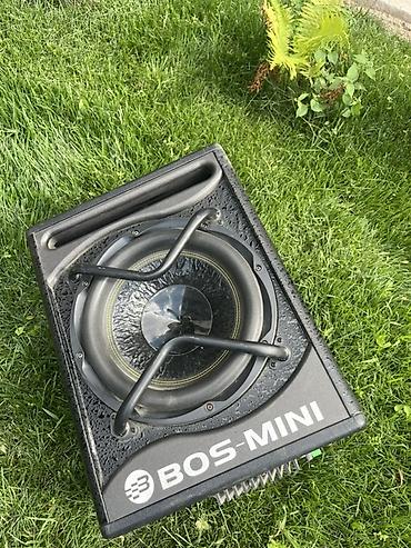короб саб: Активный уличный сабвуфер BOS-MINI - Формат: компактный активный — 4