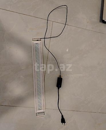 beta balığı qiymət: Dördbucaq akvarium, Balıqlarla birlikdə, 70 l, Ödənişli çatdırılma, Rayonlara çatdırılma, Ünvandan götürmə — 5