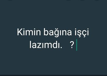 xırdalanda iş elanları 2023: Kimə işçi lazımdırsa desin Bağa baxmaq işi adam təcrübəlidi özü