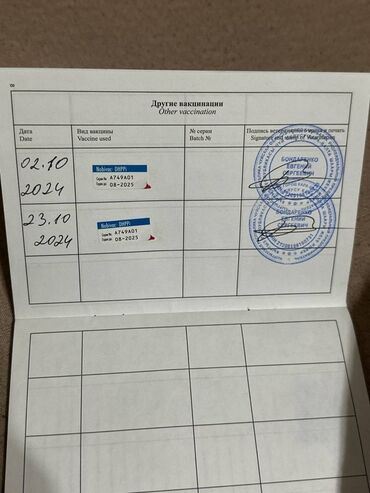 срочно продаю в связи с переездом: Продаю собаку. Породистая: Чихуахуа Возраст: 1 год Еще ни с кем не