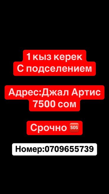 Долгосрочная аренда квартир: 2 комнаты, Собственник, С подселением, С мебелью полностью