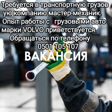 требуеться повар дордой моторс: Требуется Автомеханик - Ремонт грузовой техники, Оклад, 3-5 лет опыта