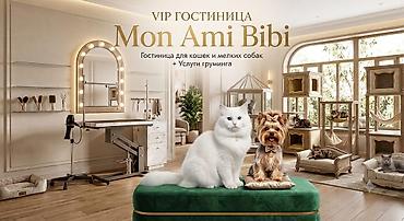 кой коозу: VIP гостиница Mon Ami Bibi Гостиница для кошек и мелких собак + — 1