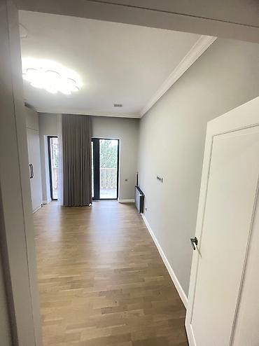 Побелка: Наружная побелка, Побелка потолков, Побелка стен | Известковая побелка, Мелковая побелка Больше 6 лет опыта at lalafo.kg — 23 Побелка: Наружная побелка, Побелка потолков, Побелка стен | Известковая побелка, Мелковая побелка Больше 6 лет опыта — 23