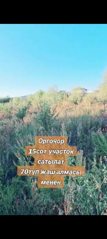 участок раздолний: 15 соток, Для строительства, Красная книга