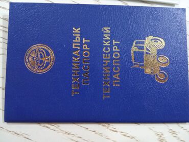 Тракторы МТЗ (Беларус): Модель: 80 экспортный, Б/у, 1995 г. — 1