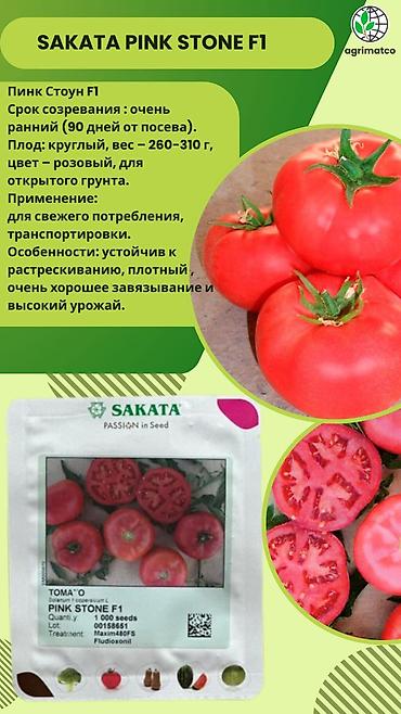 Другие овощные культуры: Семена овощных культур SAKATA (профессиональная серия, фасовка по 1000 — 23