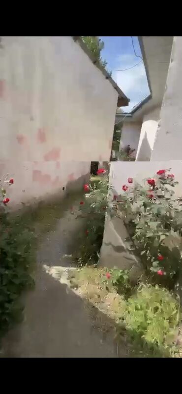 sumqayıtda həyət evi: 5 kv. m, 2 otaqlı