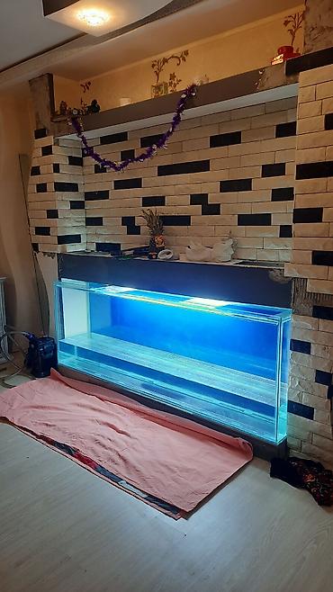 kristal yem mmc: Akvarium-şkaf, 1000 l, Pulsuz çatdırılma — 10