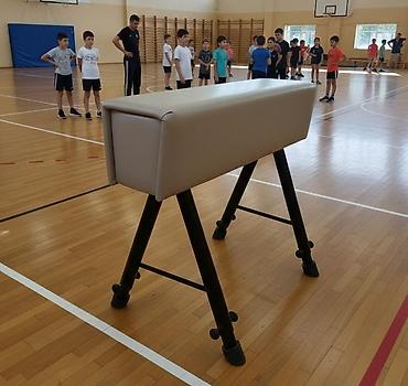 Gimnastika üçün tullanma atı (vaulting horse) - Məqsəd: məktəb və