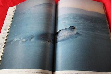 Knjige: NATIONAL GEOGRAPHIC APRIL 1987. | National Geographic April 1987 — 6