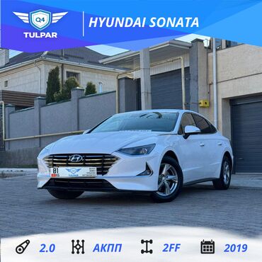 Hyundai: Hyundai Sonata: 2019 г., 2 л, Автомат, Газ, Седан