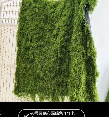 Digər bitkilər: Məhsul: Təbiətvi̇ zolaqlı yosun/mahov örtüyü – hazır plitələr Təsvir — 6