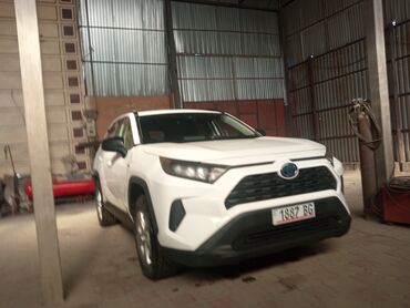 Toyota: Toyota RAV4: 2019 г., 2.5 л, Автомат, Гибрид, Внедорожник