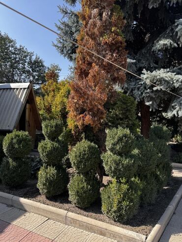 Продажа домов: Дом, 85 м², 3 комнаты, Собственник, Старый ремонт — 15