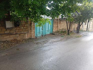 Uzunmüddətli kirayə evlər: 100 kv. m, 3 otaqlı, İşıq — 12
