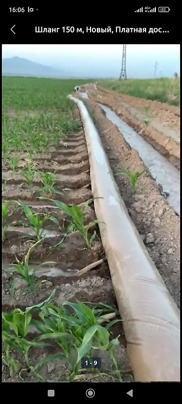 Шланги для полива: Шланг для полива — 11