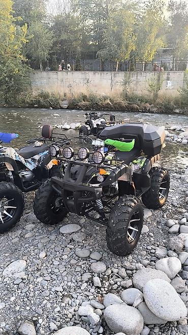 Квадроциклы: Квадроцикл ATV (двухместный), внедорожный. Основные характеристики и — 11