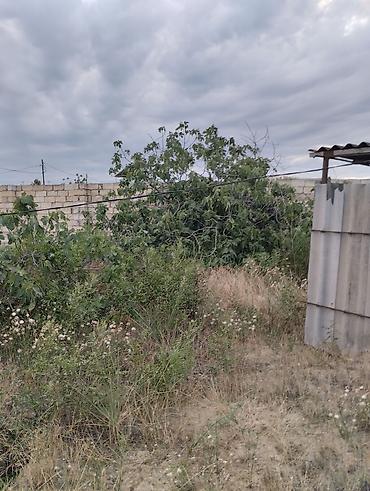 Torpaq sahələrinin satışı: 12 sot, Tikinti -da lalafo.az — 6 Torpaq sahələrinin satışı: 12 sot, Tikinti — 6