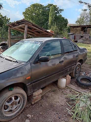 бампер на приус 30: Nissan Primera: 1993 г., Седан — 1