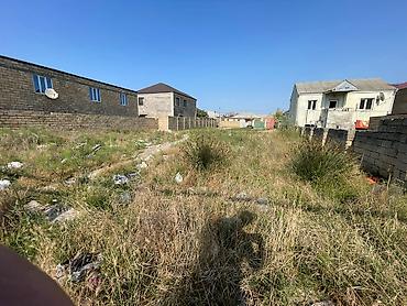 gence torpaq satisi: 3 sot, Tikinti, Mülkiyyətçi, Kupça (Çıxarış) — 4