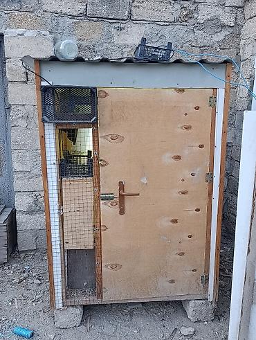 qus yuvasi duzeltmek: Quşxana/kümes satılır - Material: taxta karkas, ön tərəf kontrplak — 1