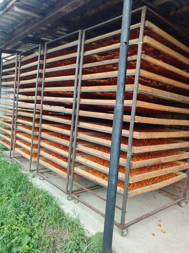 купить жилье в бишкеке: Продаю участок 30 соток есть помещение 500кв м есть собственный