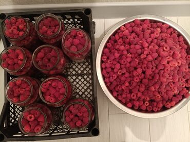 купить ремонтантную малину: Малина Чекене