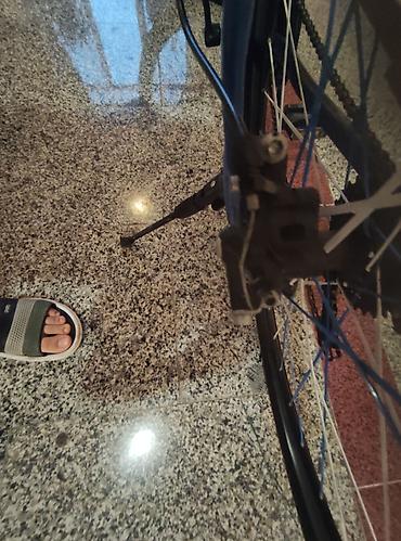 wolf bicycle: Endirim olacağ ELANI TAM OXUYUN SONRA NARAHAT ELİYİN !!! Vegas 29 — 8