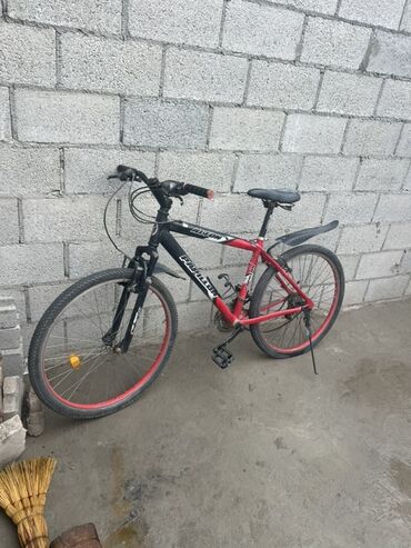 срочно продаю в связи с переездом: Горный велосипед Rapido (надпись на раме), двухцветная рама