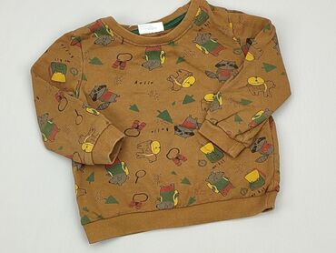 kombinezon wiosenny dla chłopca: Sweatshirt, So cute, 12-18 months, condition - Good