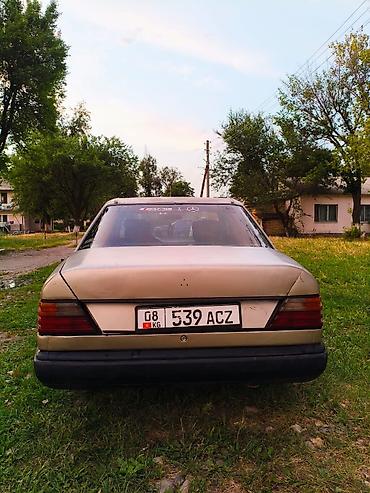 kirgiz auto: Mercedes-Benz W124: 1988 г., Седан — 3
