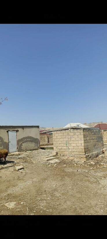 Torpaq sahələrinin satışı: 10 sot, Mülkiyyətçi — 6