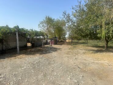 Torpaq sahələrinin satışı: 100 sot, Kənd təsərrüfatı, Makler, Kupça (Çıxarış) — 6