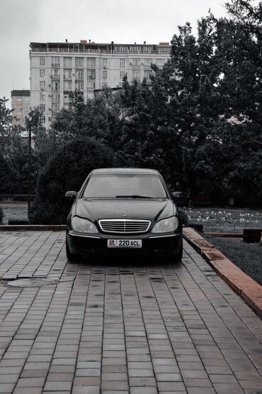 алфа рамео: Mercedes-Benz 220: 2000 г., 4.3 л, Автомат, Бензин, Седан