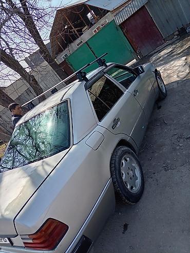 Бочки: Бочка Пластик, 150 л — 16