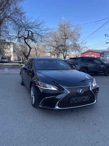 кант мис: Lexus ES: 2020 г., 2.5 л, Автомат, Гибрид, Седан