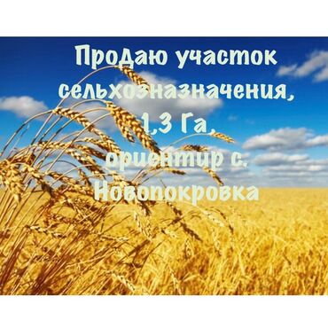 оборудование для бизнес: 130 соток, Для сельского хозяйства, Тех паспорт